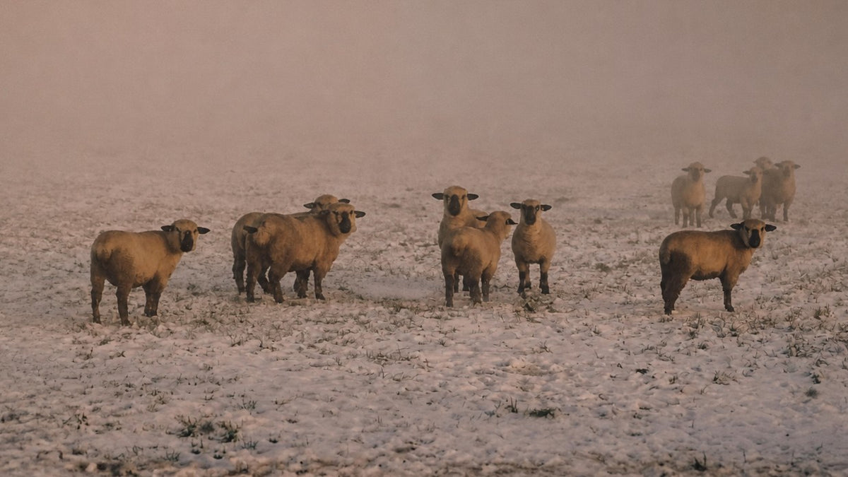 Frosted ground, season style background