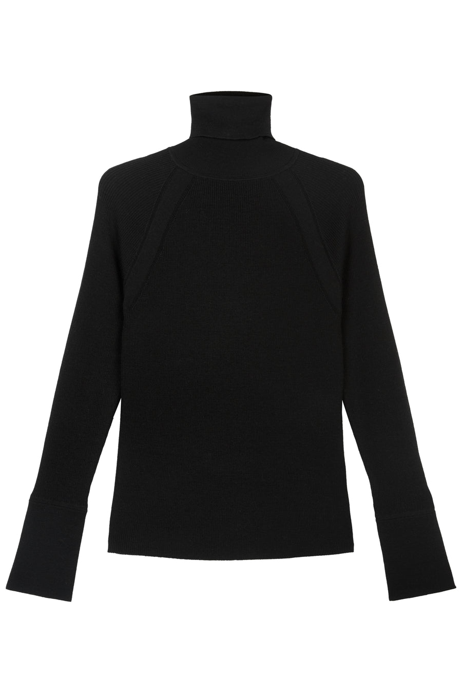 Black skinny rib polo neck 2025